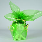 Little Ice Cream Human Plant Pot