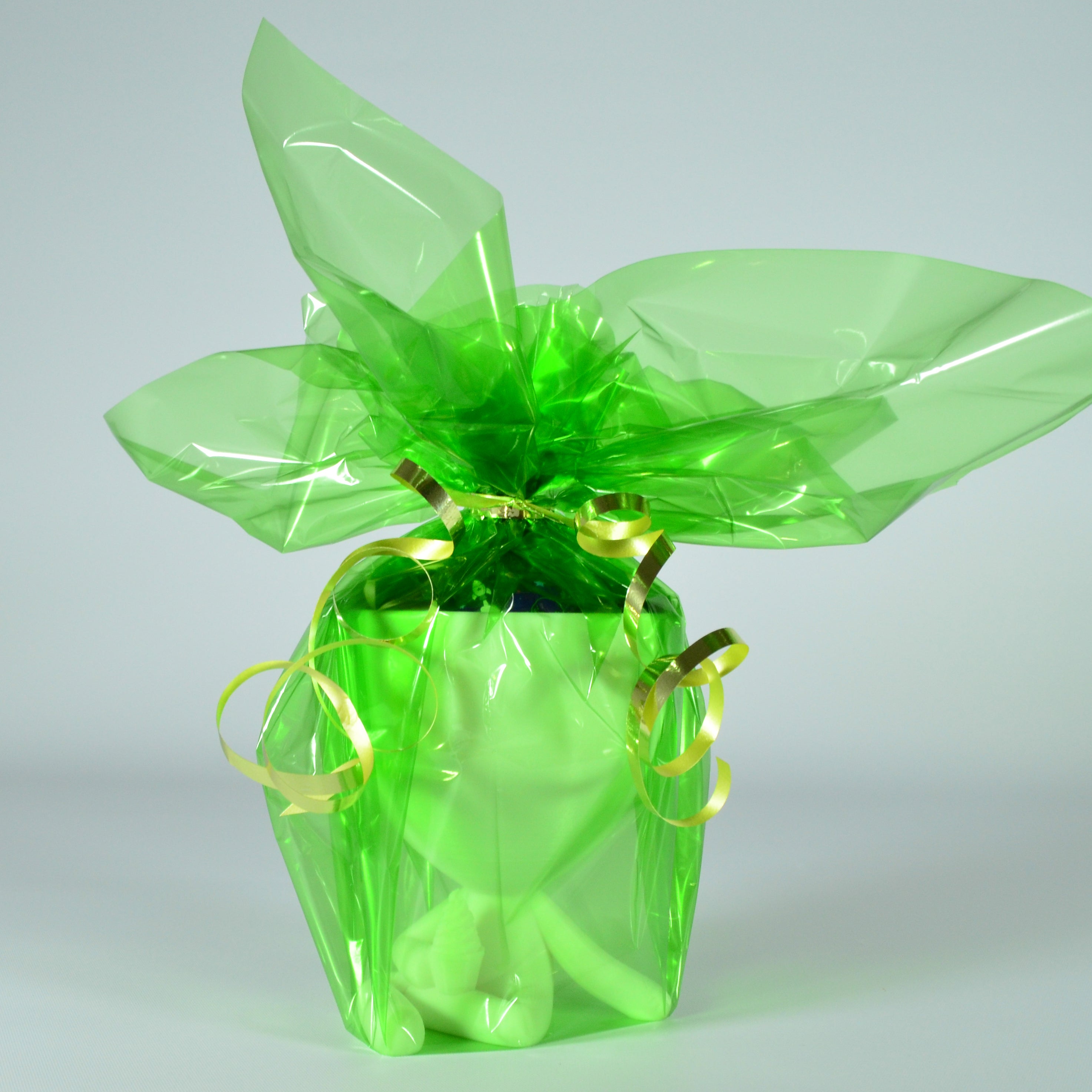 Little Ice Cream Human Plant Pot